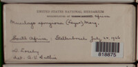 Image Associated With the Occurence